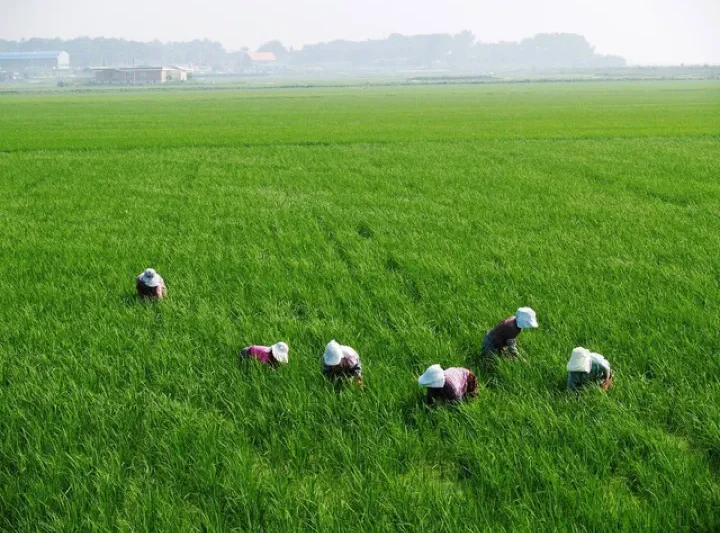 Greenlash 2025: Saat Rakyat Muak Dipaksa Miskin Demi Lingkungan