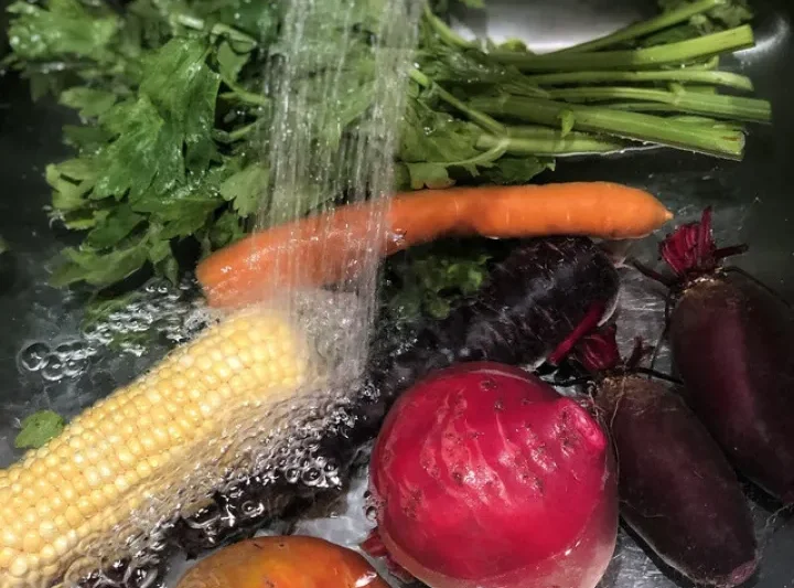 Bahaya Tersembunyi pada Sayuran Segar: Mengenal Ancaman Residu Pestisida dalam Pangan