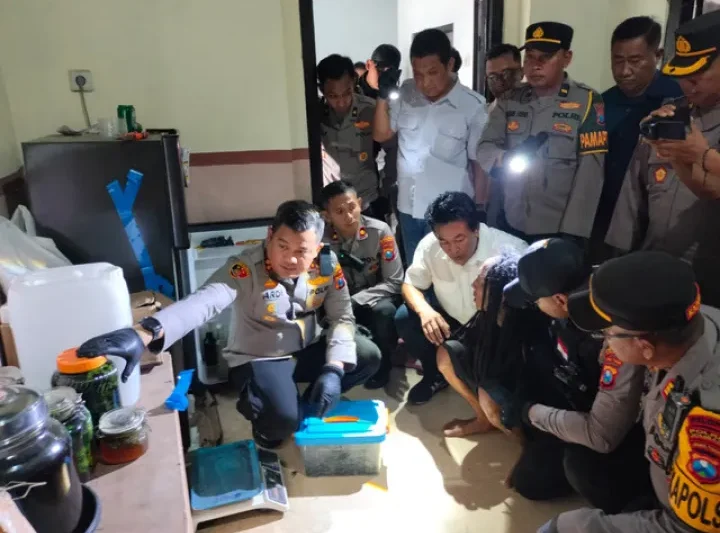Pasutri Otak Penanaman Ganja di Jombang Ditangkap, Ingin Ubah UU Narkoba