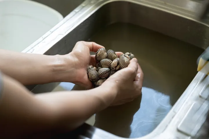 Chef Ungkap Cara Praktis Membersihkan Kerang dengan Metode Perebusan Berulang