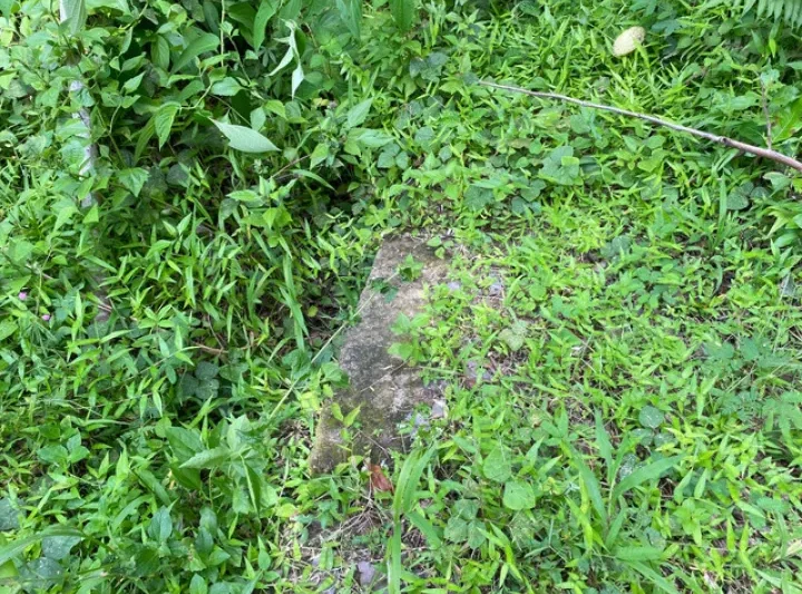 Viral Temuan Struktur Batu di Sleman Disebut Candi, BPCB DIY Jelaskan Dugaan Petirtaan