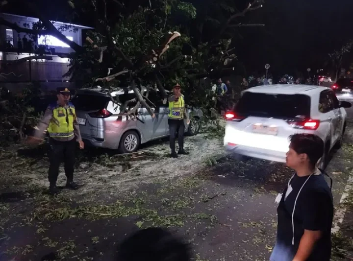 Pohon Tumbang Timpa Mobil di Jalur Keluar Bandara Ngurah Rai, Lalu Lintas Sempat Macet