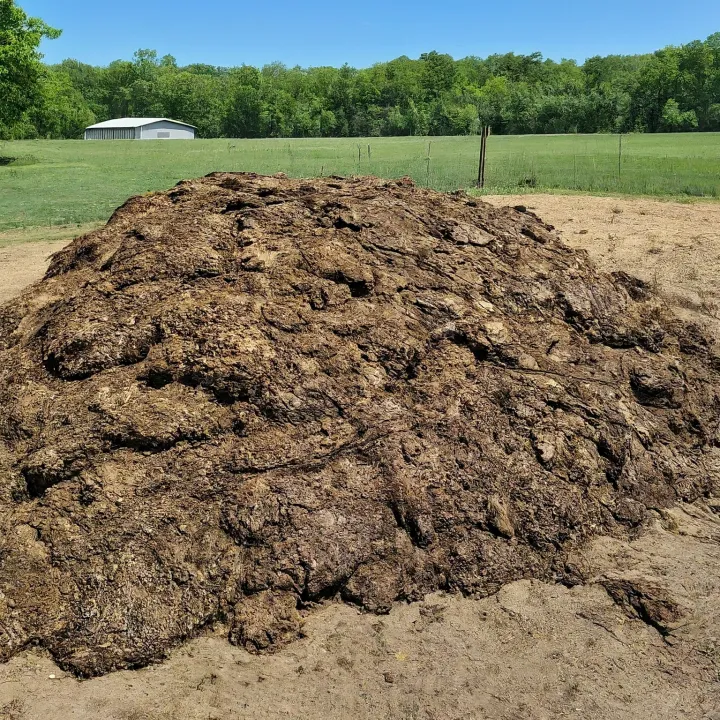 Tumpukan kotoran ayam yang dikelola dengan baik, ditutupi atau ditempatkan di area khusus, tanpa lalat