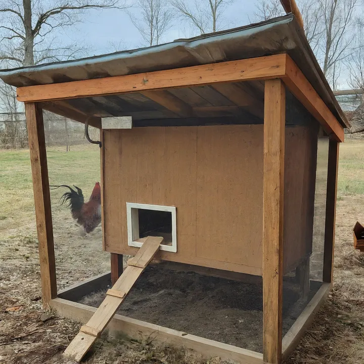 Kandang ayam yang memiliki ventilasi baik dan desain yang meminimalkan area perkembangbiakan lalat