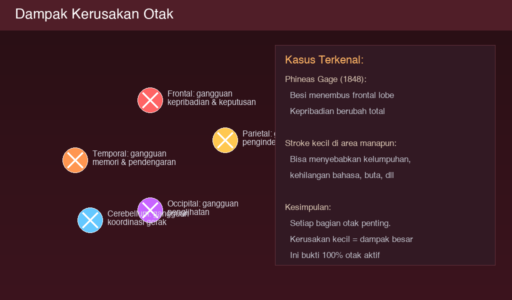 Dampak kerusakan otak pada berbagai area dan fungsinya