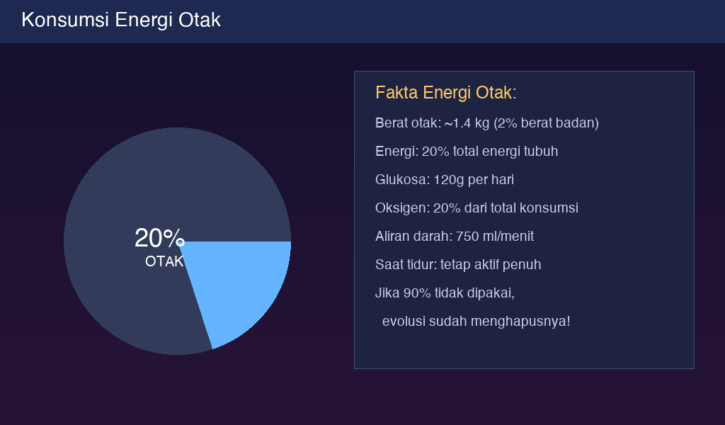 Infografis konsumsi energi otak: 2% berat badan tapi 20% energi tubuh