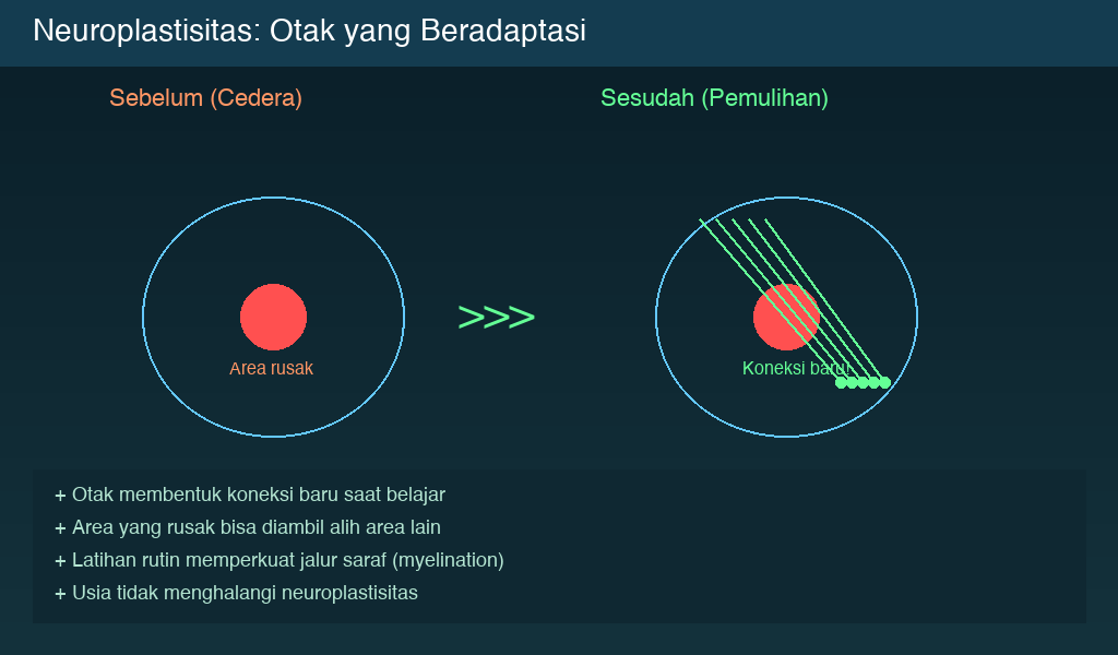 Neuroplastisitas: kemampuan otak membentuk koneksi baru