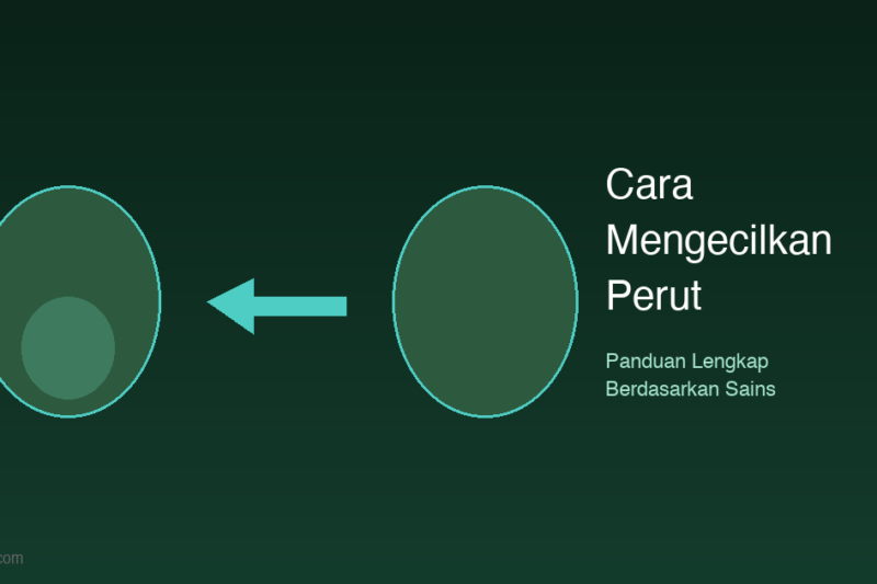 Cara Mengecilkan Perut: Panduan Lengkap Berdasarkan Sains