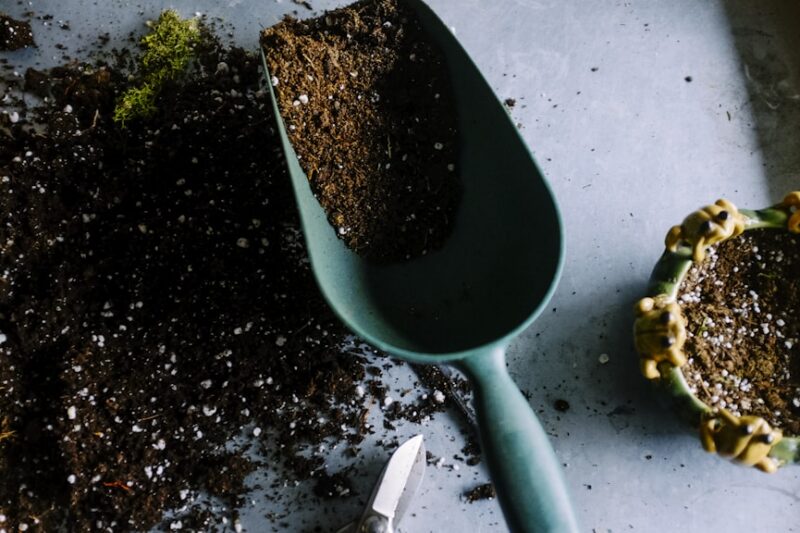 7 Cara Urban Farming di Rumah Minimalis: Panen Sayur Segar Tanpa Kebun Luas!